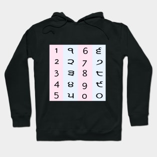 Punjabi Numeric Design Hoodie